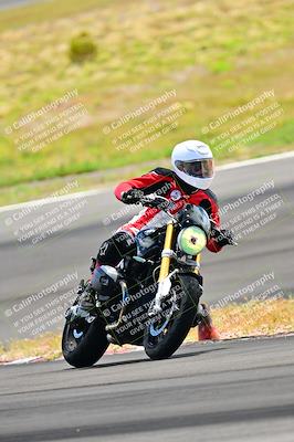 media/Apr-13-2024-Classic Track Day (Sat) [[9dd147332a]]/Group 3/Session 3 (Turn 3)/